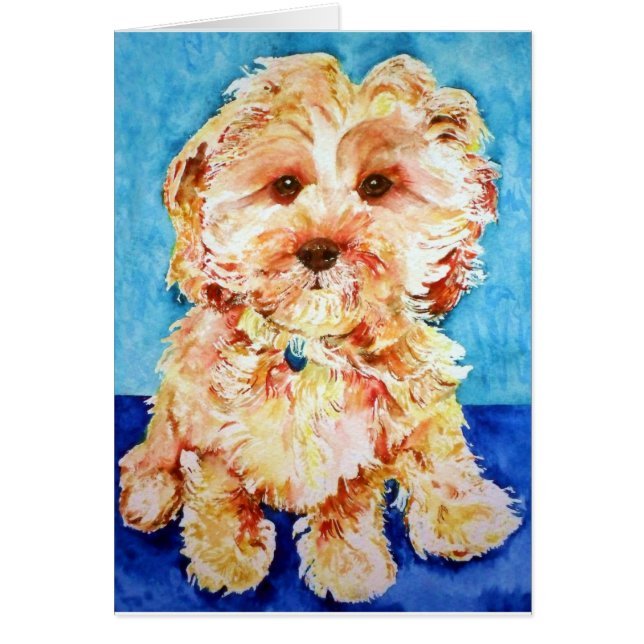 Cavapoo "Ollie". Hälsningskort (Framsidan)