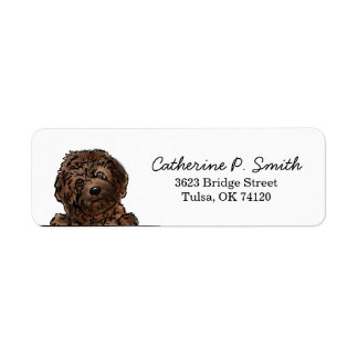 Cavapoo Returadress Returadress Etikett
