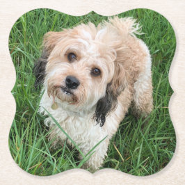 Cavapoo underlägg papper