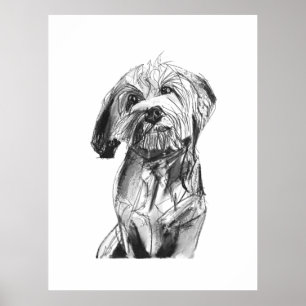 Cavapoo Väggkonst Affisch, Hund Konsttryck