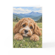 Cavapoo välkomstkort