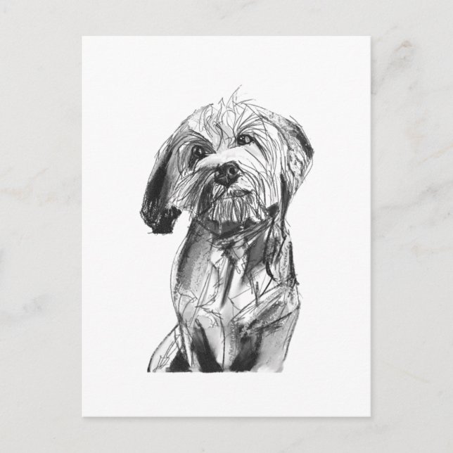 Cavapoo vykort – Illustration av svart hund (Framsida)
