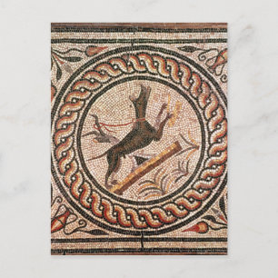 Cave Canem 2000-talet Vykort