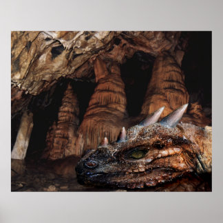 Cave Dragon Poster