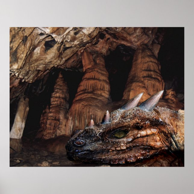 Cave Dragon Poster (Framsidan)