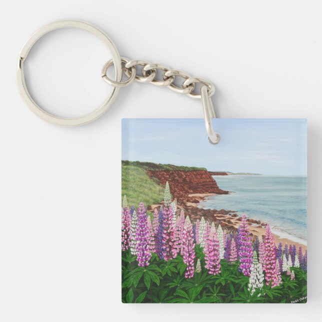 Cavendish klippor och vårLupins, PEI (Framsidan)