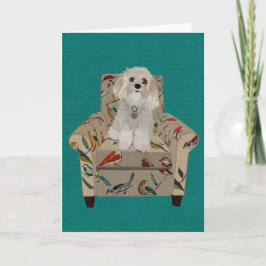 CAVIPOODLE Notecard Anteckningskort
