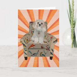 CAVIPOODLE RAND Notecard Anteckningskort