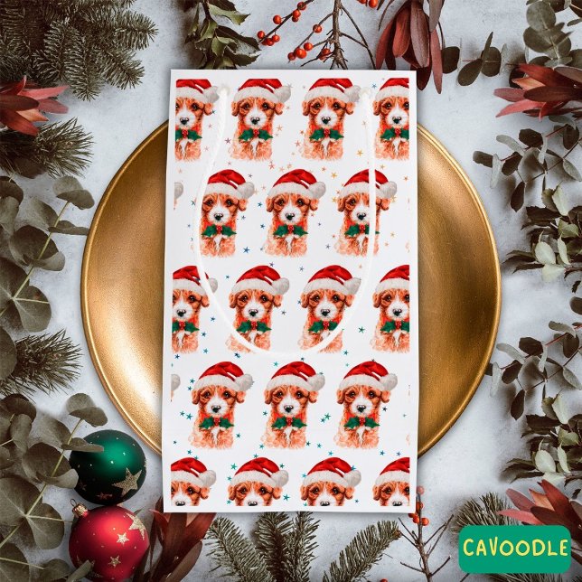 Cavoodle Hund aveln julstjärnor (Skapare uppladdad)