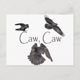 Caw Caw Vykort