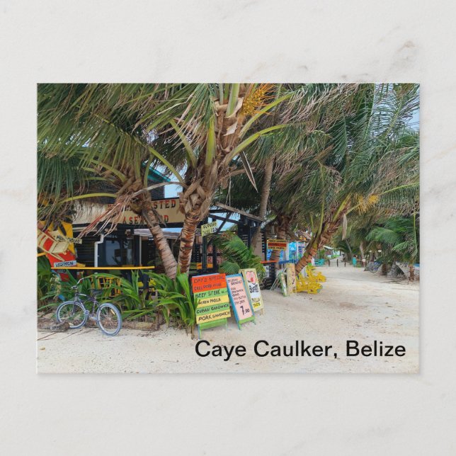 Caye Caulker-vykort Vykort (Framsida)