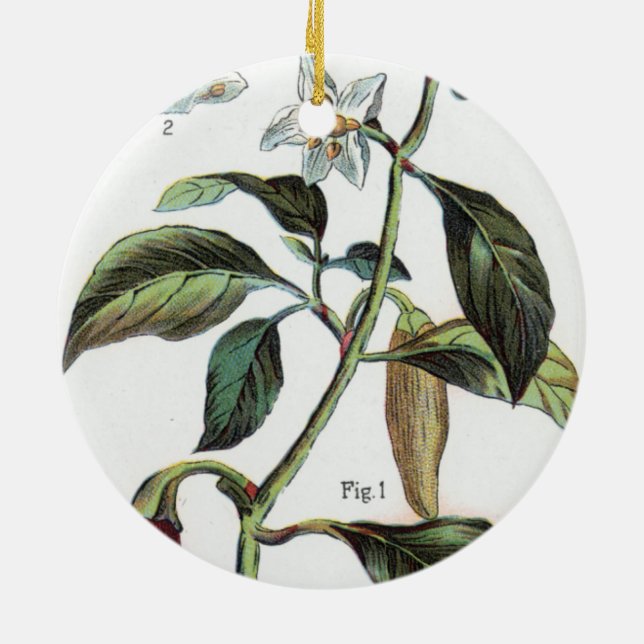 Cayenne pepper Flower Julgransprydnad Keramik (Baksidan)