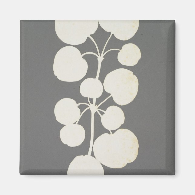 Cayenne Pepper Magnet (Framsidan)