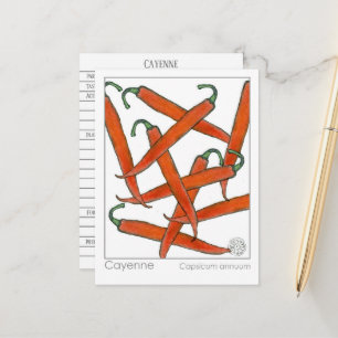 Cayenne Pepper Materia Medica Herbal Study Card Vykort