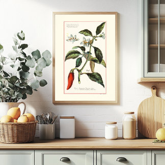 CAYENNE - VINTAGE BOTANISK ILLUSTRATION POSTER