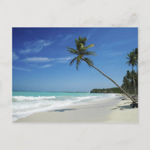 Cayman Island Beach Vykort