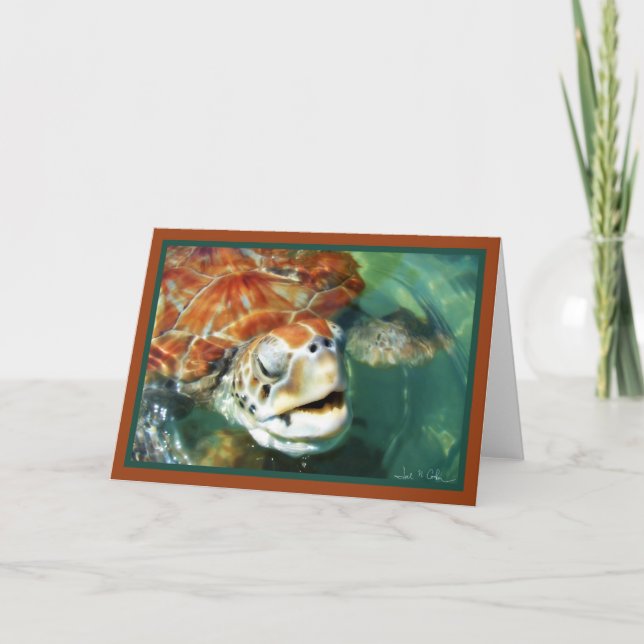 Cayman Turtle Kort (Framsida)