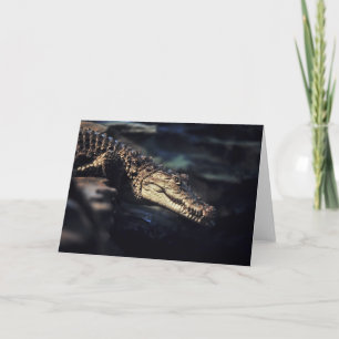 Caymankrokodilnotecard Kort