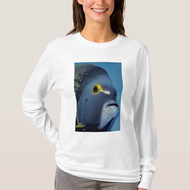 Caymanöarna, Fransk Angelfish Pomacanthus T-shirt (Framsida)