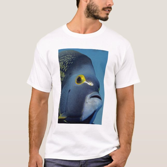 Caymanöarna, Fransk Angelfish Pomacanthus T-shirt (Framsida)