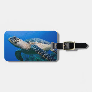 Caymanöarna, Little Cayman Island, Undervattensvy Bagagebricka