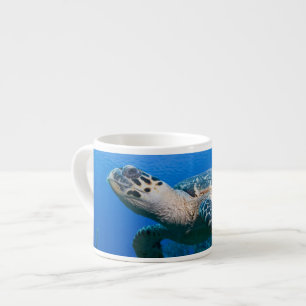 Caymanöarna, Little Cayman Island, Undervattensvy Espressomugg