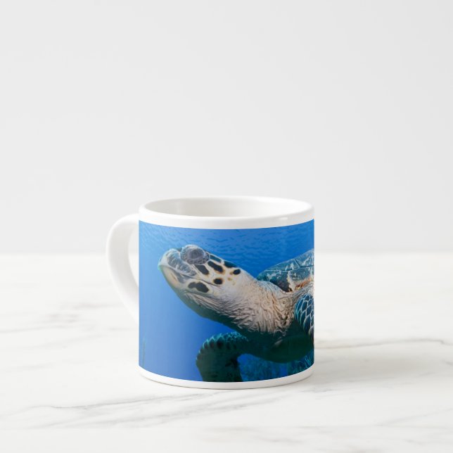 Caymanöarna, Little Cayman Island, Undervattensvy  Espressomugg (Framsida vänster)