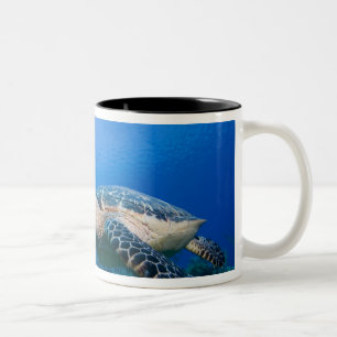 Caymanöarna, Little Cayman Island, Undervattensvy Två-Tonad Mugg