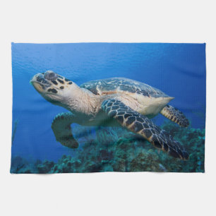 Caymanöarna, Little Cayman Island, Underwater 2 Kökshandduk