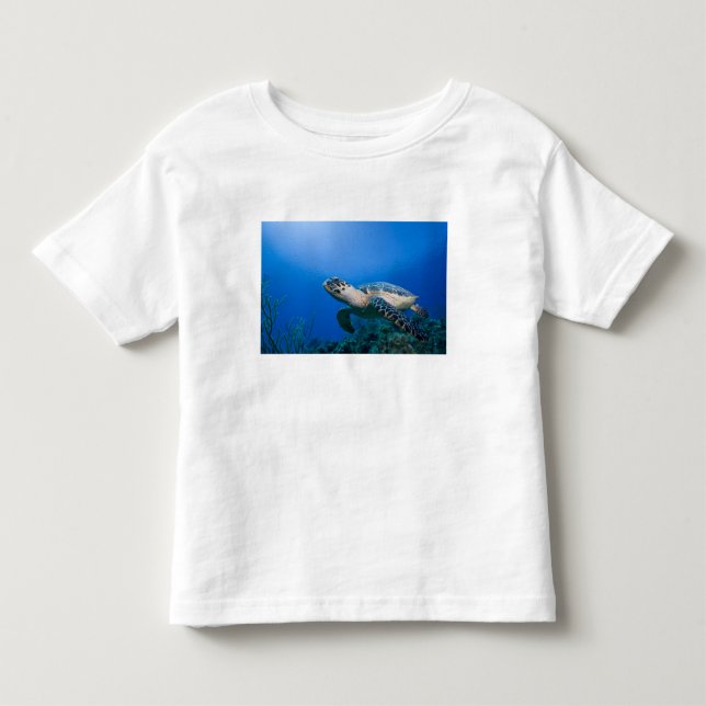 Caymanöarna, Little Cayman Island, Underwater 2 T-shirt (Framsida)