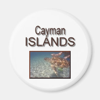 Caymanöarna Turtle Magnet