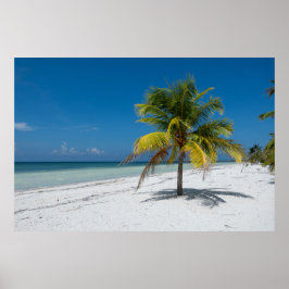 Cayo Blanco-stranden på Kuba Poster