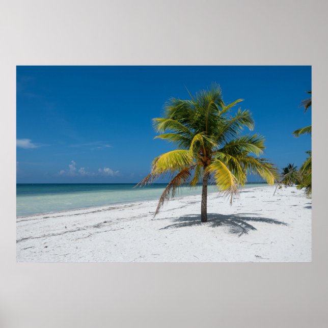 Cayo Blanco-stranden på Kuba Poster (Framsidan)
