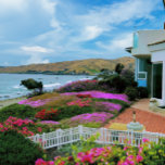 Cayucos California Pussel<br><div class="desc">Det här snyggtens pussel har en vacker blomma i blomning mot vågarna i Cayucos i Kalifornien. Denna lilla pikonresska strandstad är verkligen en plats för perfekt av småstadens kustliv, långt från trafiken och människorna i både Bay Area och Los Angeles Basin. Längs Stillahavets motorväg Kusten bör den finnas med på...</div>
