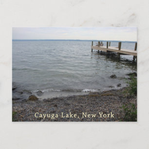 Cayuga Lake Rocky Beach Vykort