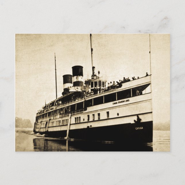 Cayuga Passenger Steamer - Kanada Steamship Linjer Vykort (Framsida)
