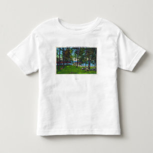 Cayuga plats för sjödelstatspark tee shirt