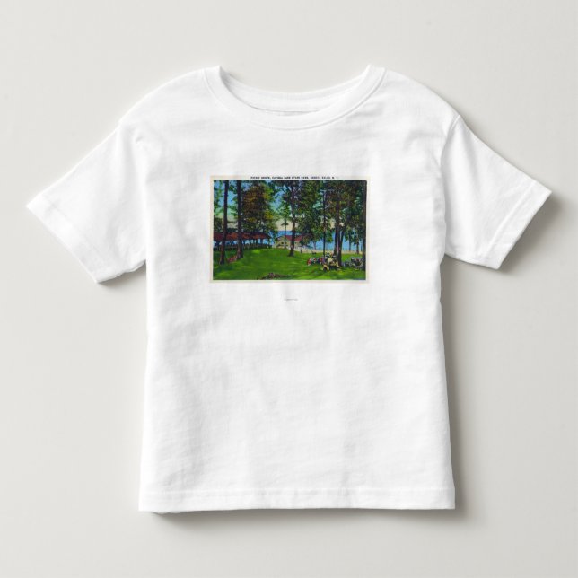 Cayuga plats för sjödelstatspark tee shirt (Framsida)