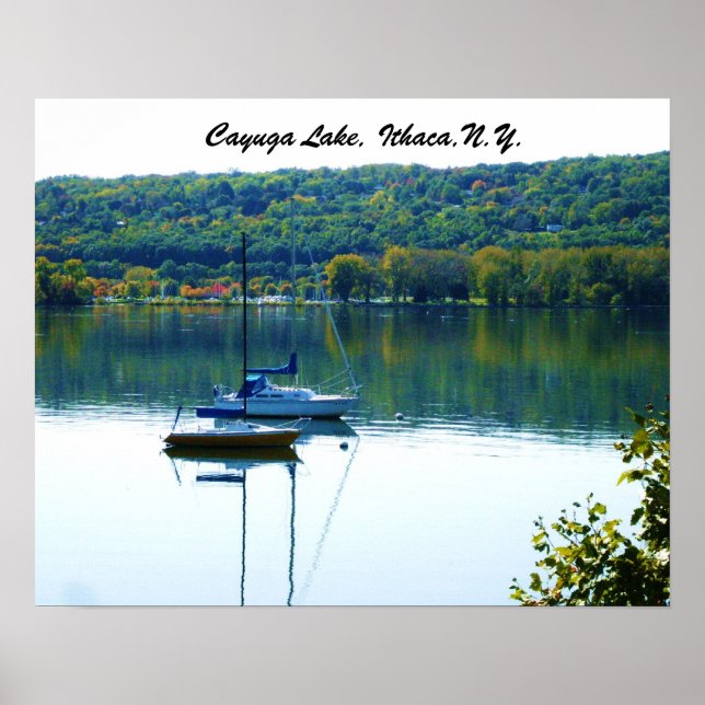 CAYUGA SJÖ I ÖSTERN POSTER (Framsidan)