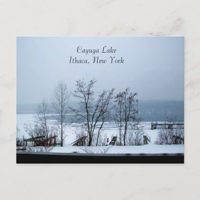 CAYUGA SJÖ IN WINTER-vykort Vykort (Framsida)