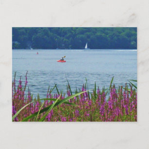 CAYUGA SJÖ, ITHACA,N.Y-vykort Vykort