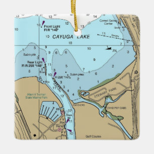 Cayuga Sjö Ithaca NY-diagram Julgransprydnad Keramik