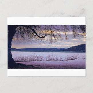 Cayuga Sjö / Ithaca Vykort