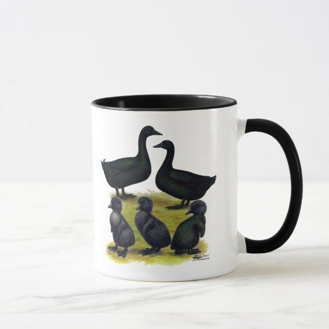 Cayugaankandfamilj Mugg (Höger)