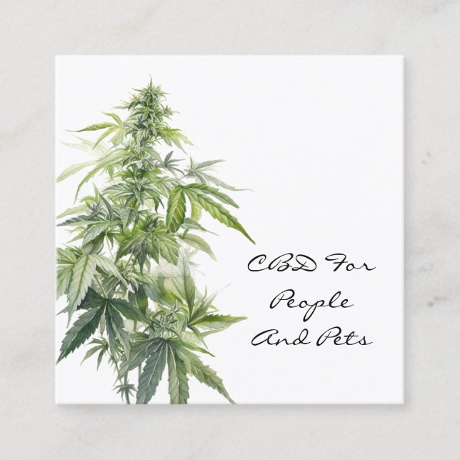 CBD Watercolor Plant Fyrkantigt Visitkort (Framsida)
