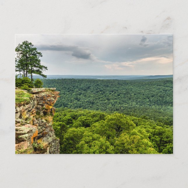 CCC Overlook Petit Jean Postcard Vykort (Framsida)
