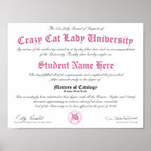 CCLU-diplomat - Rosa Seal - Cat Porträtt