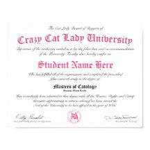 CCLU-diplomat - Rosa Seal - Cat Porträtt