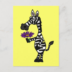 CD-funny Zebra med vykort för Daisy