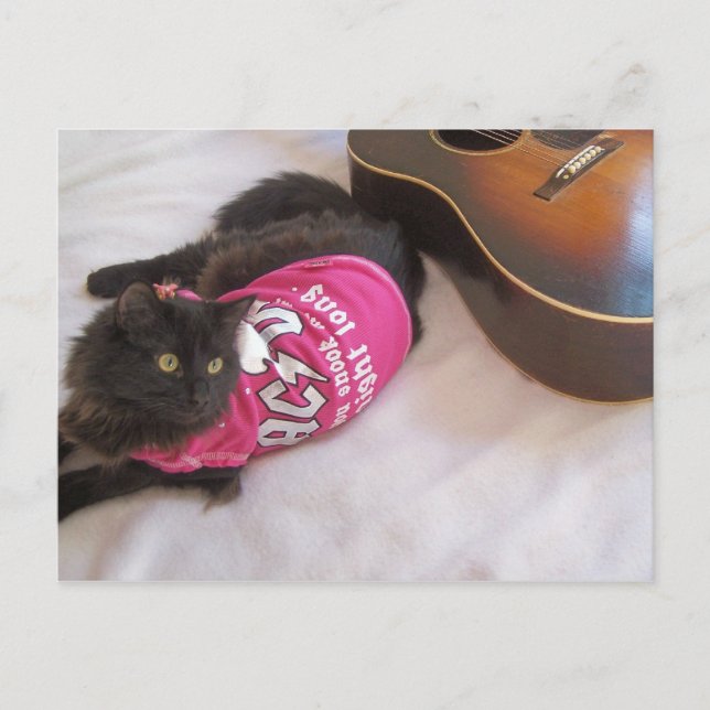 cd-skjortkort vykort (Framsida)